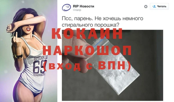 ГАЛЛЮЦИНОГЕННЫЕ ГРИБЫ Верея