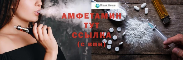 ГАЛЛЮЦИНОГЕННЫЕ ГРИБЫ Верея