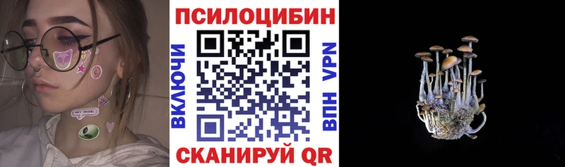 Галлюциногенные грибы GOLDEN TEACHER Медногорск
